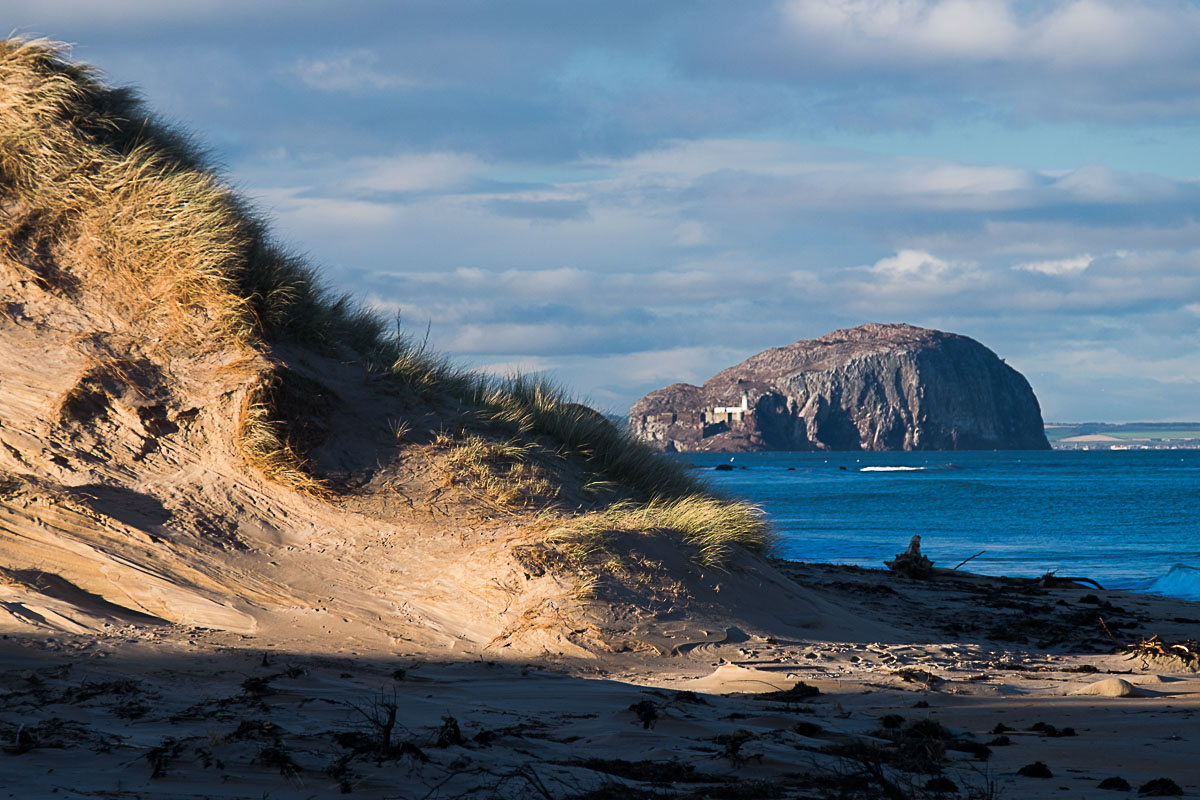 Delivery to East Lothian